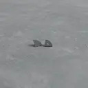 SH03 Hero Image - WEB0004.webp